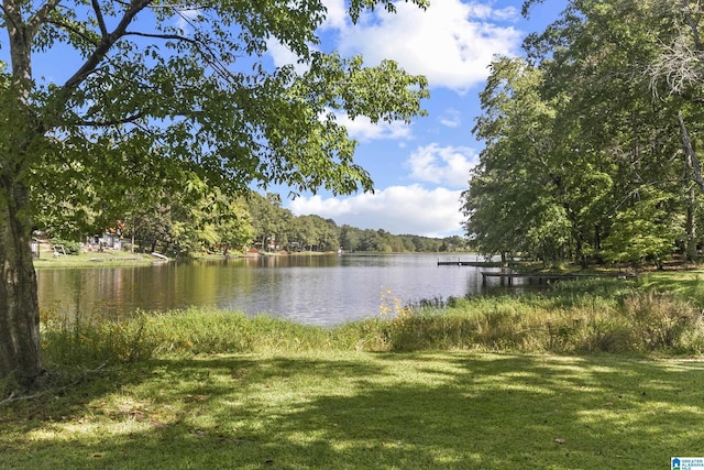 view of water feature