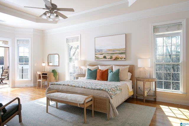 bedroom featuring multiple windows, a tray ceiling, and wood finished floors