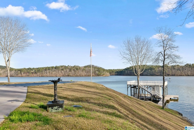 dock area with a forest view and a water view