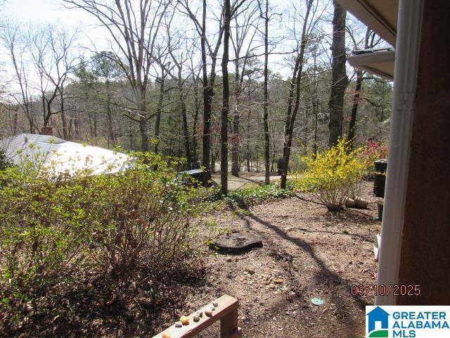 view of yard featuring a wooded view