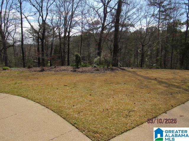 view of yard with a wooded view