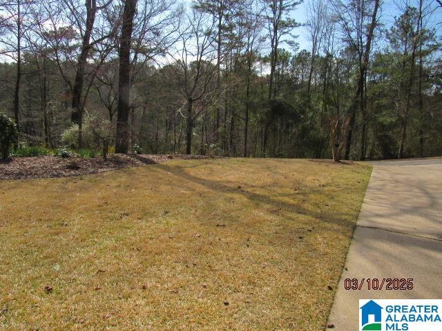 view of yard featuring a wooded view