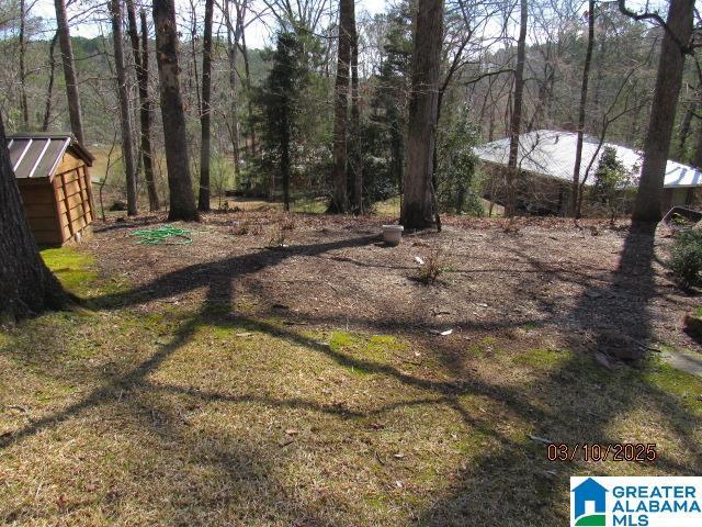 view of yard featuring a view of trees