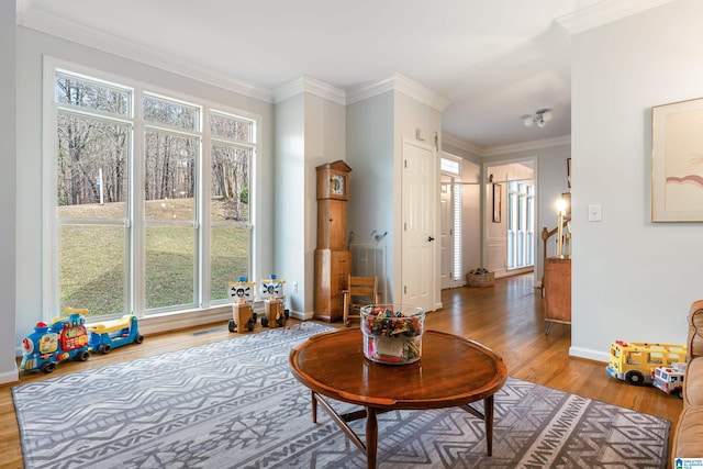 living area featuring baseboards, wood finished floors, and crown molding