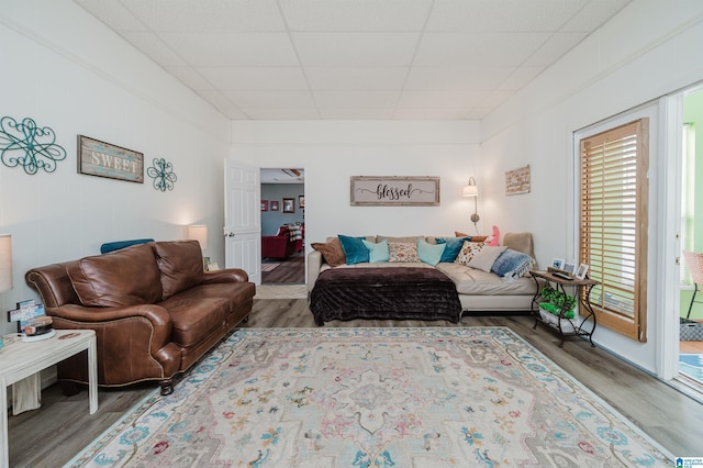 living area featuring a paneled ceiling and wood finished floors