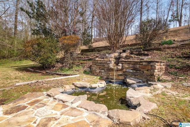 view of yard with a small pond