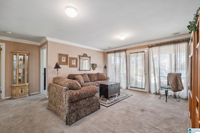 carpeted living area with ornamental molding