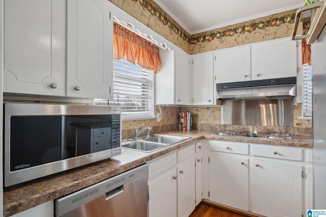 kitchen featuring a sink, white cabinets, under cabinet range hood, and stainless steel appliances