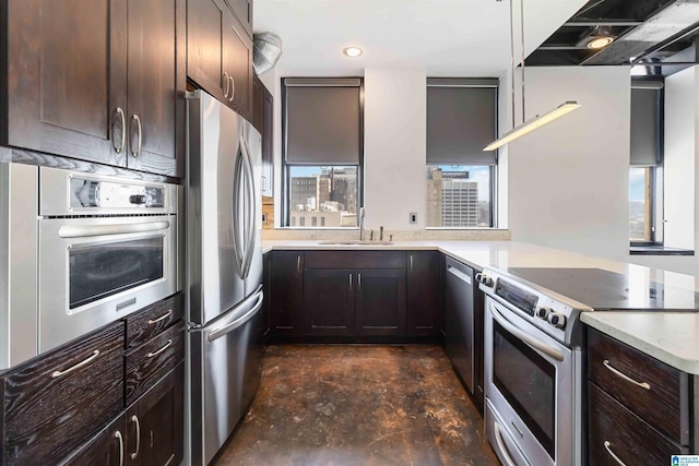 kitchen featuring dark brown cabinetry, appliances with stainless steel finishes, ventilation hood, and a sink