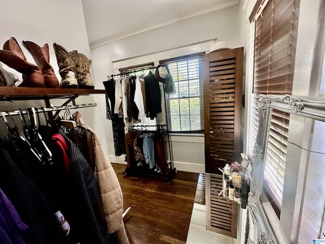 walk in closet with wood finished floors