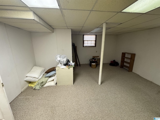 basement featuring carpet and a paneled ceiling