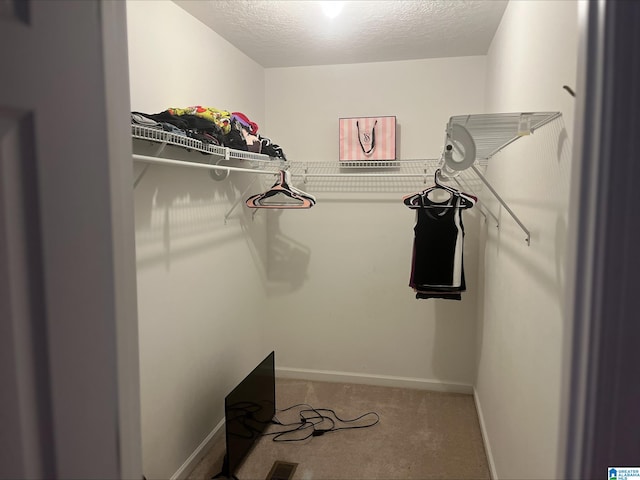 spacious closet featuring carpet floors