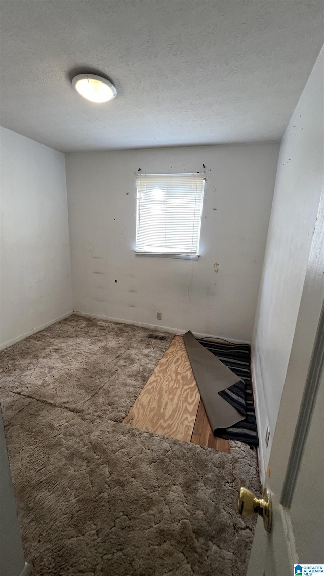 spare room featuring carpet and a textured ceiling