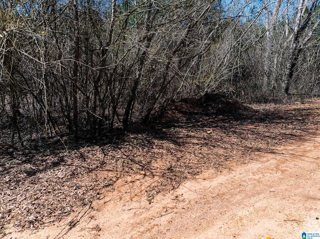 0 County Road 788 Unit 0, Clanton AL, 35046 land for sale