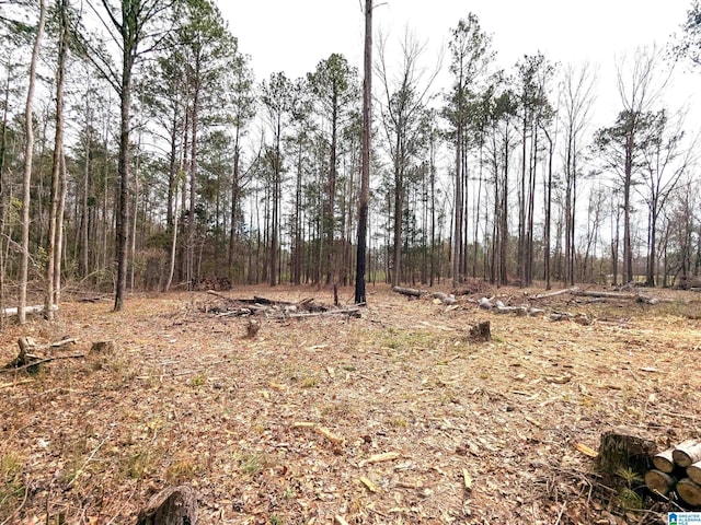 Listing photo 3 for 0 US Hwy Unit 26284, Maplesville AL 36750