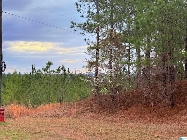 Shore Side Ln Unit 202, Sylacauga AL, 35151 land for sale