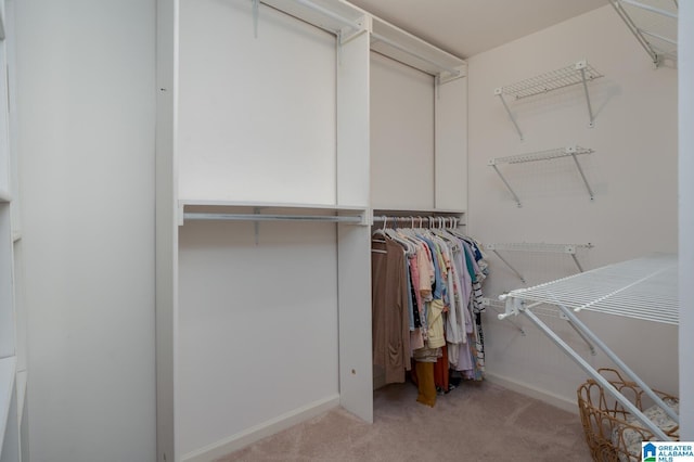 walk in closet featuring light colored carpet