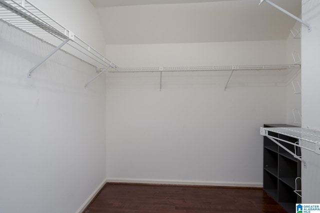 walk in closet featuring dark wood finished floors