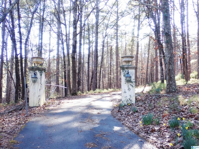 view of street featuring aphalt driveway