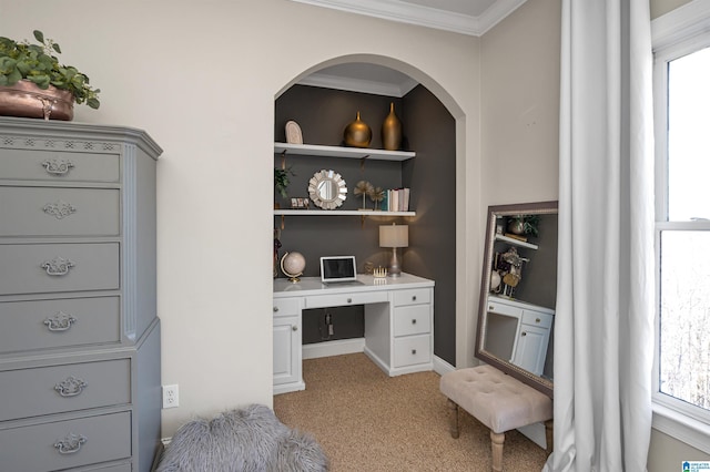 office with built in study area, crown molding, and light carpet