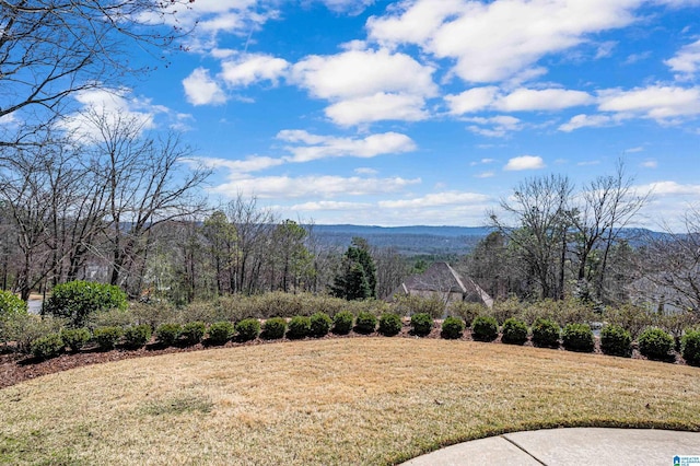 property view of mountains with a view of trees