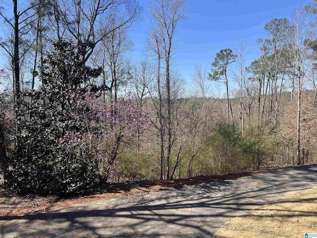 view of road featuring a wooded view