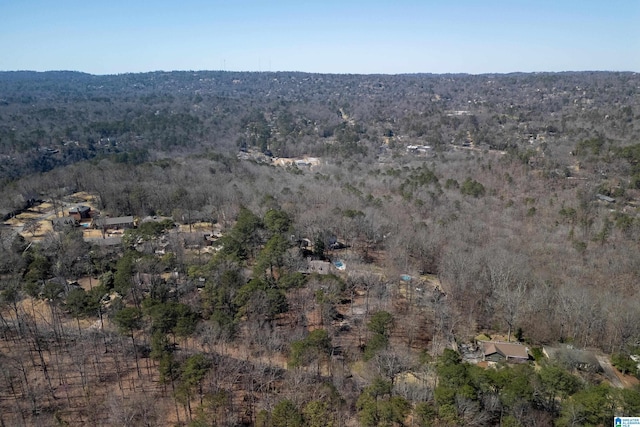 aerial view with a forest view