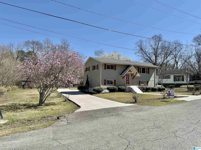 bi-level home featuring concrete driveway and a front lawn