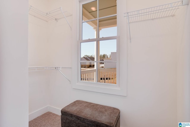 walk in closet featuring carpet flooring