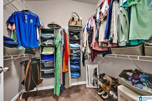 walk in closet with carpet flooring