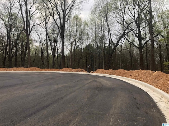 Eagle Point Dr One Parcel, Unit One Parcel, Birmingham AL, 35242 land for sale