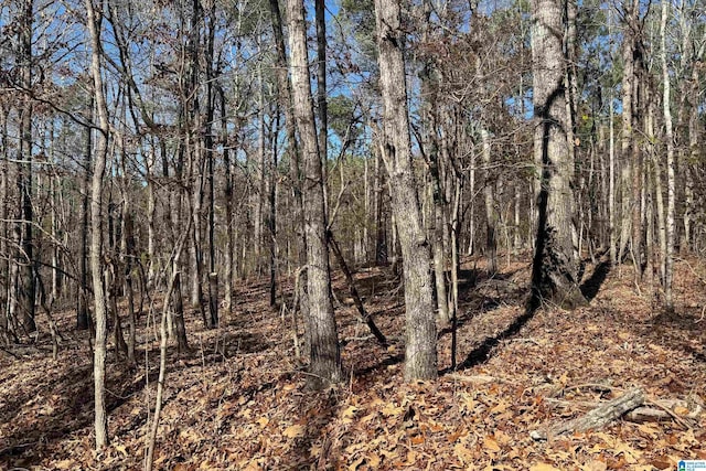 Listing photo 2 for LOT44 Beach Island Trce Unit 44, Dadeville AL 36853