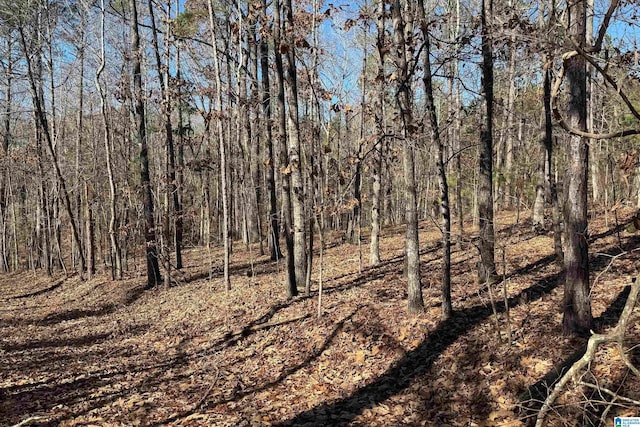 Listing photo 3 for LOT44 Beach Island Trce Unit 44, Dadeville AL 36853