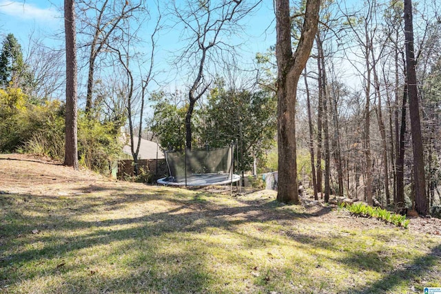 view of yard with a trampoline