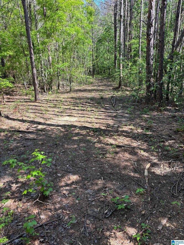 1401 Cobb Rd Unit 7, Munford, AL 36268