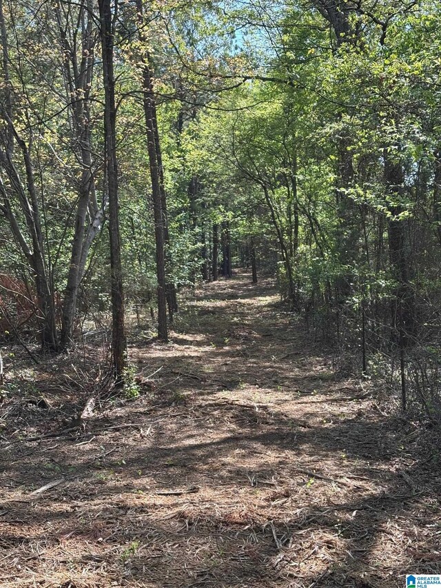 1401 Cobb Rd Unit 7, Munford, AL 36268