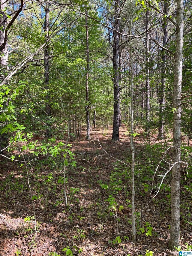 1401 Cobb Rd Unit 7, Munford, AL 36268
