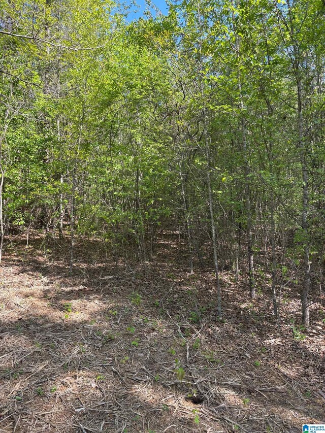 1401 Cobb Rd Unit 7, Munford, AL 36268