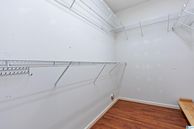 walk in closet featuring wood finished floors