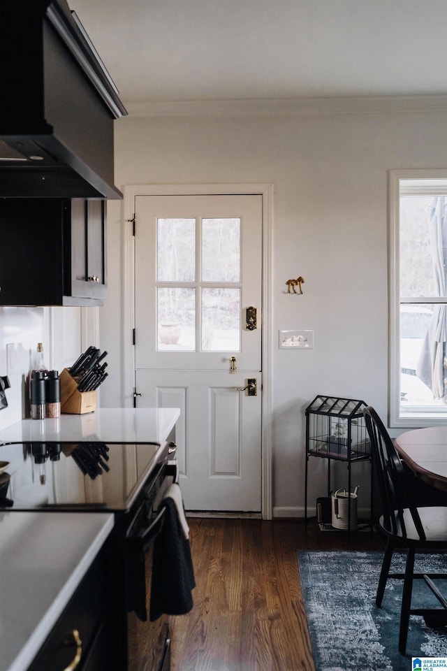 kitchen featuring dark wood finished floors, black range with electric cooktop, extractor fan, and ornamental molding
