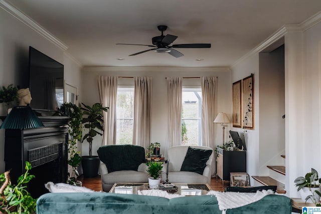 living room with stairs, crown molding, wood finished floors, and a ceiling fan