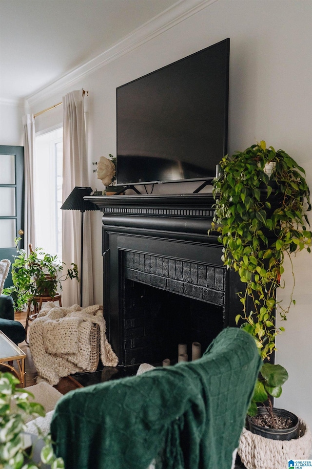 details featuring a fireplace and ornamental molding