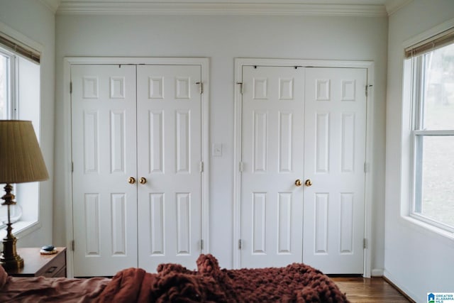 bedroom featuring multiple windows, two closets, crown molding, and wood finished floors