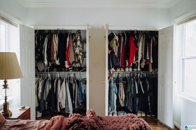 view of closet
