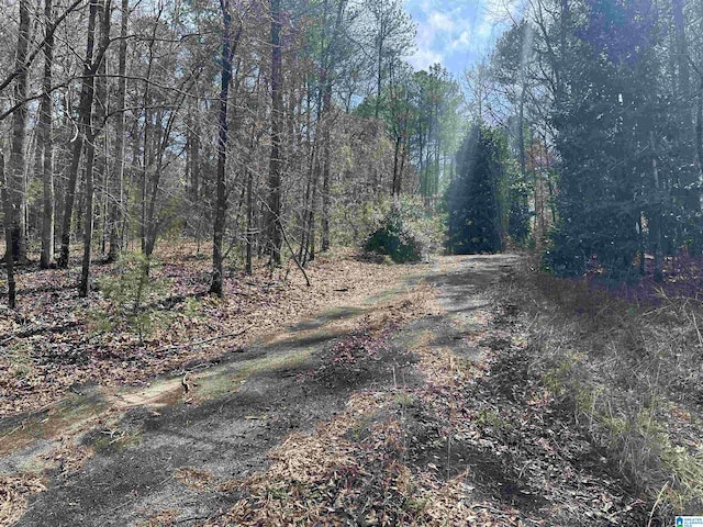 0 Dearmanville Rd Unit 1, Anniston AL, 36207 land for sale