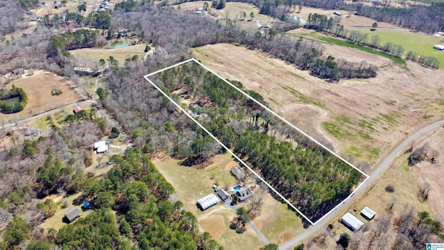 bird's eye view with a rural view