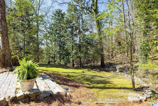 view of yard featuring a patio area