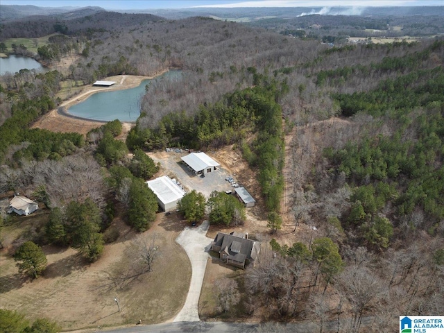 bird's eye view featuring a forest view and a water view