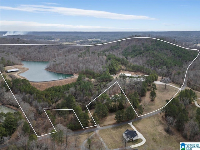 birds eye view of property with a forest view and a water view