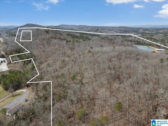 bird's eye view featuring a water and mountain view